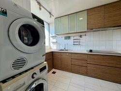 The Chuan (D19), Condominium #455035391